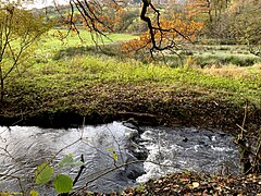 Deilbach umfließt einen naturnahen Teich