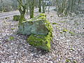 Naturdenkmal „Stein am Stein“ (vermutlich vorgeschichtlicher Kultplatz), im Hintergrund die Schutzhütte