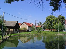 A pond in Neveklovice
