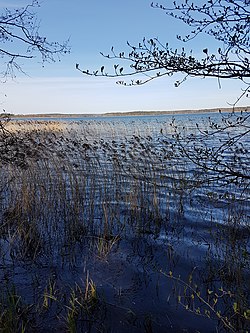 Панарама Воласы Паўночнага