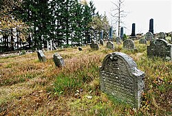 Židovský hřbitov v Olšanech