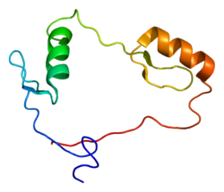 Белок CTCF PDB 1x6h.png