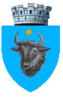 Coat of arms of Sighetu Marmației