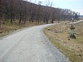 Drumul spre satul Pustuța