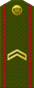 Russia-Army-OR-4-1994-field.svg