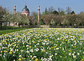 Frühling im Schlosspark Schwetzingen, Moschee