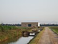 Sequer d'arròs del Camí del Canal (València)