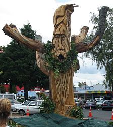 Distretto di South Waikato – Veduta