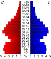 Bevolkingspiramide Kendall County