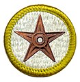 I, evrik, award this Scouting Barnstar to Rlevse for his great contributions to Scouting related articles. 17:01, 10 February 2006