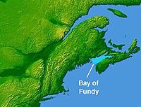 The Bay of Fundy is a bay located on the Atlantic coast of North America, on the northeast end of the Gulf of Maine between the provinces of New Brunswick and Nova Scotia. Wpdms nasa topo bay of fundy - en.jpg