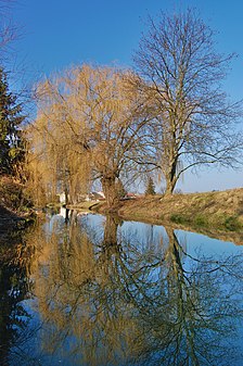 Rivière Blata à Olšany.
