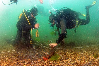 Unterwasserarchäologie