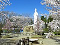 2020年1月22日 (水) 12:24時点における版のサムネイル