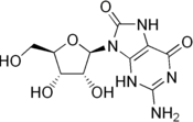 Image illustrative de l’article 8-Hydroxyguanosine