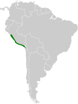 Distribución geográfica del cachudito crestiblanco.