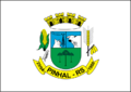 Bandeira de Pinhal