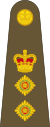 Британская армия OF-5.svg