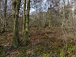 Castle Dyke moated site