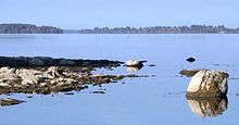 Saint Lawrence River on the New York-Ontario border DSCN4262 rmosesspstlawrence e.jpg