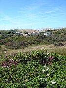 De Koog - Koogerstrand - View Northwest