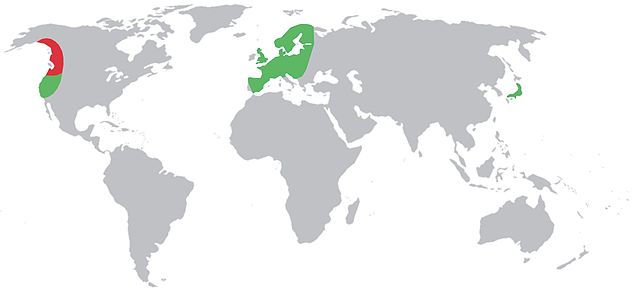 Distribuição do Pacifastacus leniusculus. A vermelho, distribuição original; a verde, zonas onde a espécie foi introduzida.