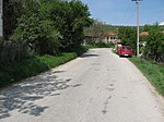 Пут према Пироту (главна улица)