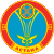 Emblem of Nur-Sultan.svg