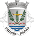 Vlag van Salgueiro