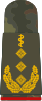 Generalober­stabsarzt (Human medicine)