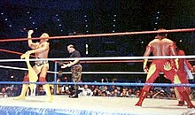 Hulk Hogan e Brutus Beefcake