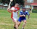 Image 42Hurling