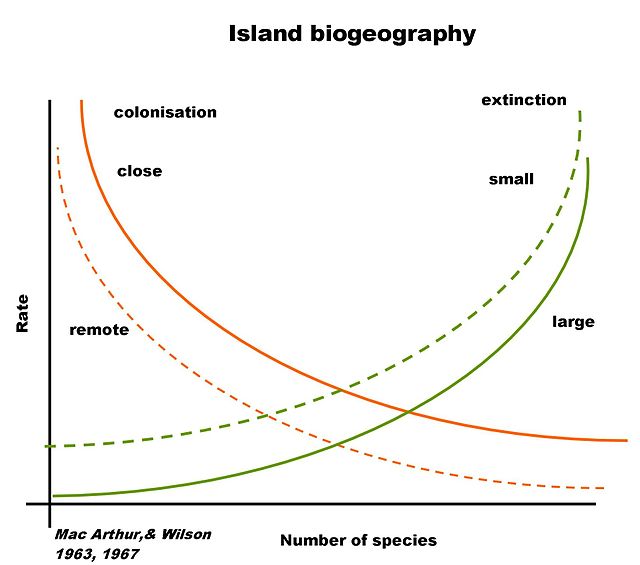 Verhältnis von Aussterberate zu Größe und Entfernung der besiedelten Insel vom Festland (Mac Arthur & Wilson)
