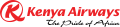 skyteam logo