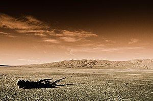 Mojave Desert, 2011