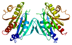 Protein ARF1 PDB 1hur.png