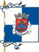 Montalegre bayrağı