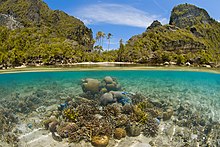 Coral reef in Raja Ampat Reef Scenic Split Shot in the Bird's Head Seascape.jpg