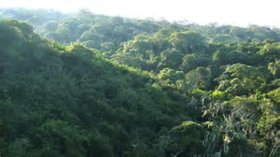 Image illustrative de l’article Forêt de Sambisa