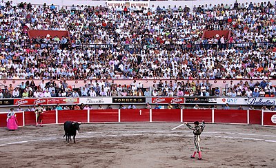 San marcos bullfight 04.jpg