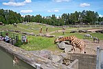 Miniatura para Zoológico de Borås