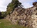 Silchester-Calleva town wall detail