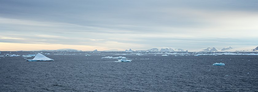 Bransfield Strait