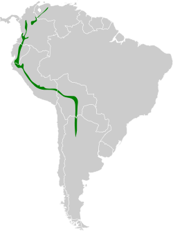 Distribución geográfica del pijuí de Azara.