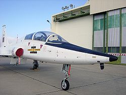 T-38.JPG