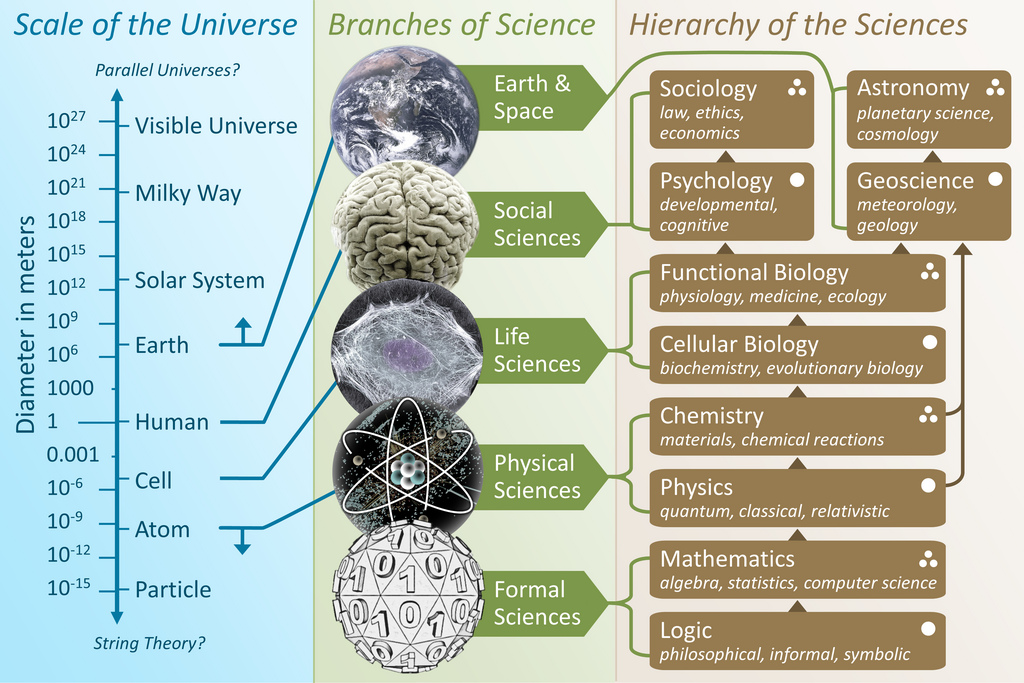 hierarchy of science