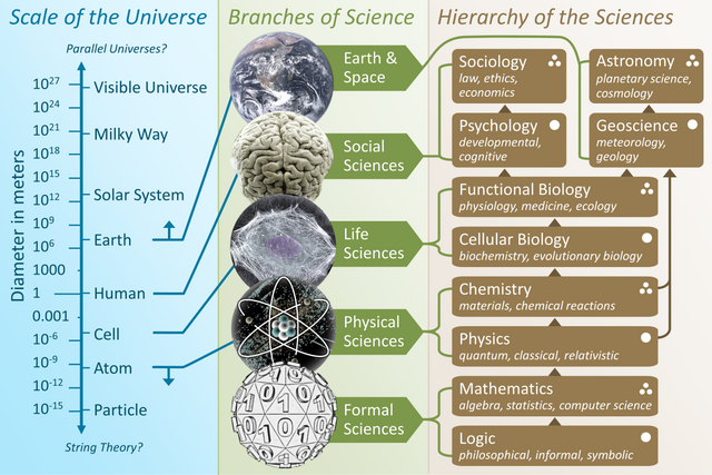 Anthropology and other social sciences, anthropology and 