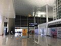 Wuhan Tianhe Airport T3 7.jpg