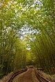 2016年3月2日 (水) 06:48時点における版のサムネイル