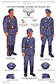 中央がヴァッフェンロック。左と右はトゥーフロック（アメリカ陸軍情報部『JAN #1 UNIFORMS AND INSIGNIA』）